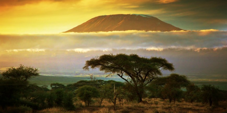 Kilimanjaro-vuori horisontissa
