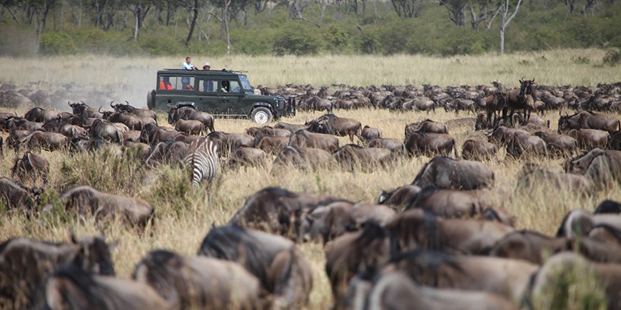 Näe vaellus safariautosta