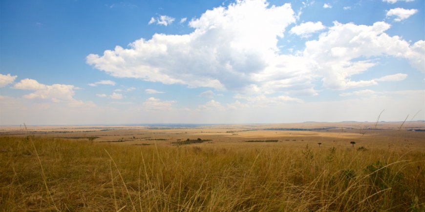 Masai Maran savannit