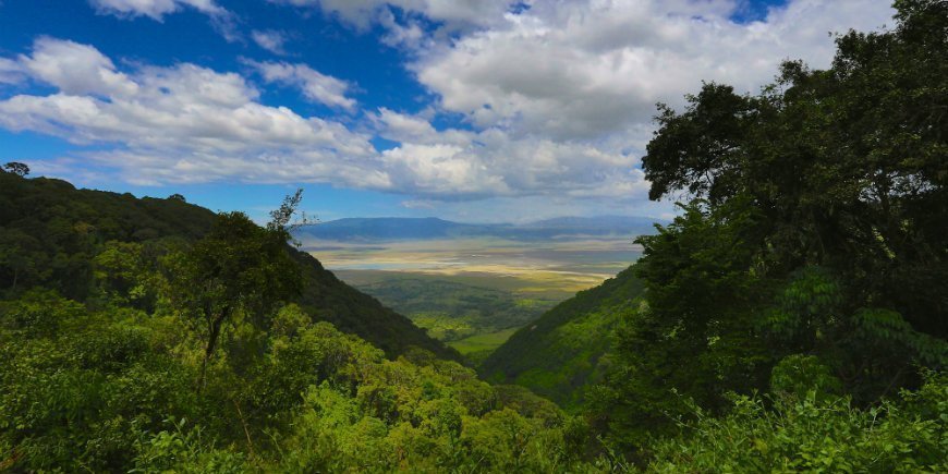 Ngorongoron kraatteri