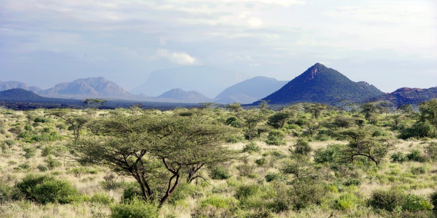 Maisemia Samburun kansallispuistossa