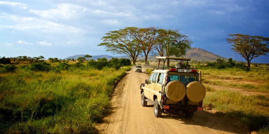 Serengeti game drive, Tansania