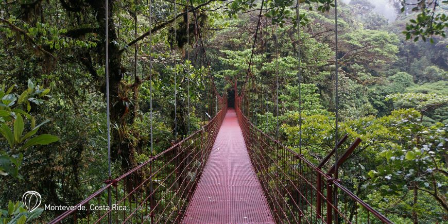 Monteverde Costa Ricassa